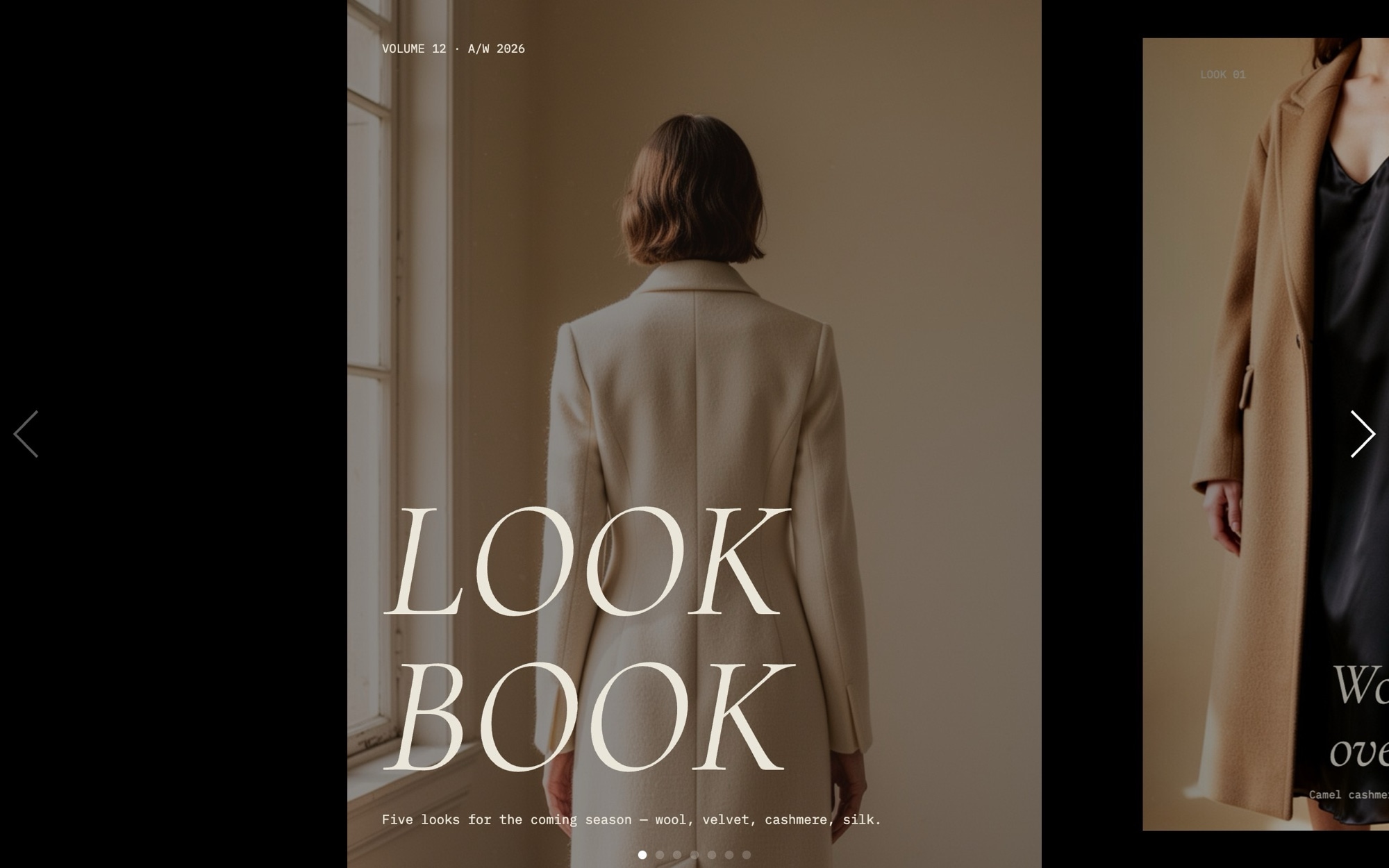 Fashion Lookbook